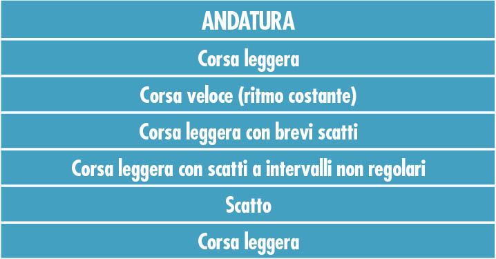 allenamento