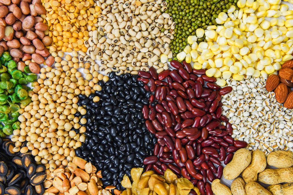 Semi Alimentari: Benefici, Proprietà Nutrizionali