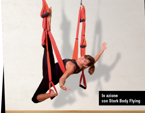Stark Body Flying