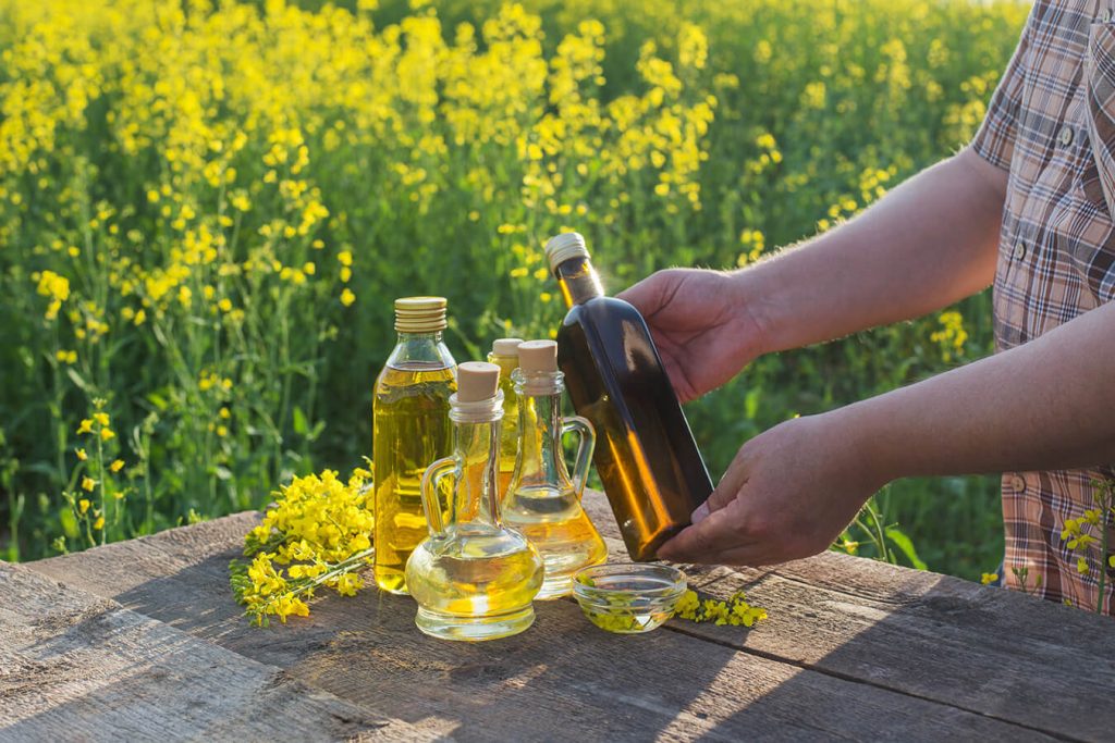 Olio di colza, di palma e di cocco