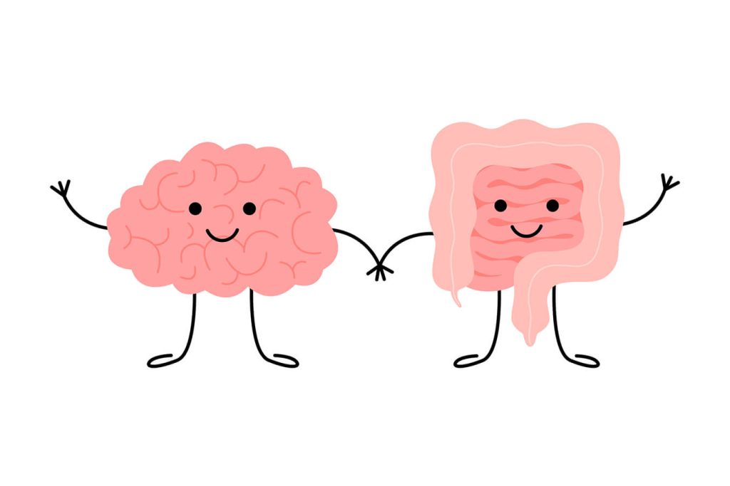 Cervello e Intestino: Una Connessione Fondamentale