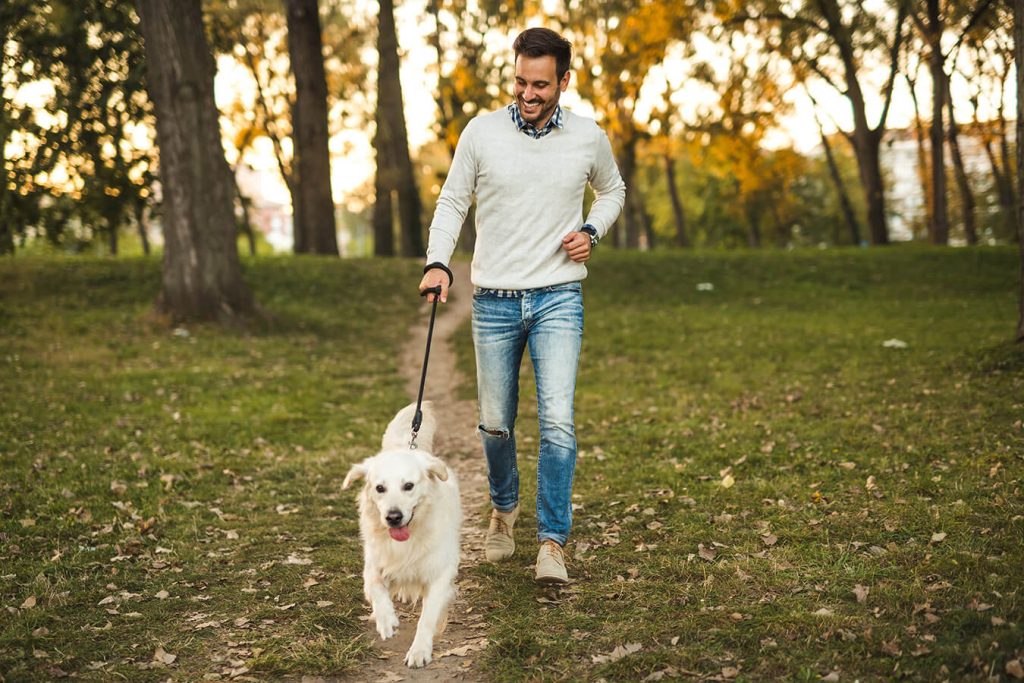 In forma grazie al Dog Walking