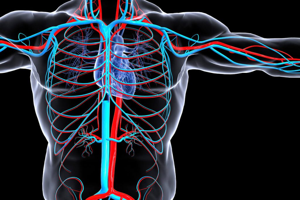 Cattive notizie per le nostre arterie