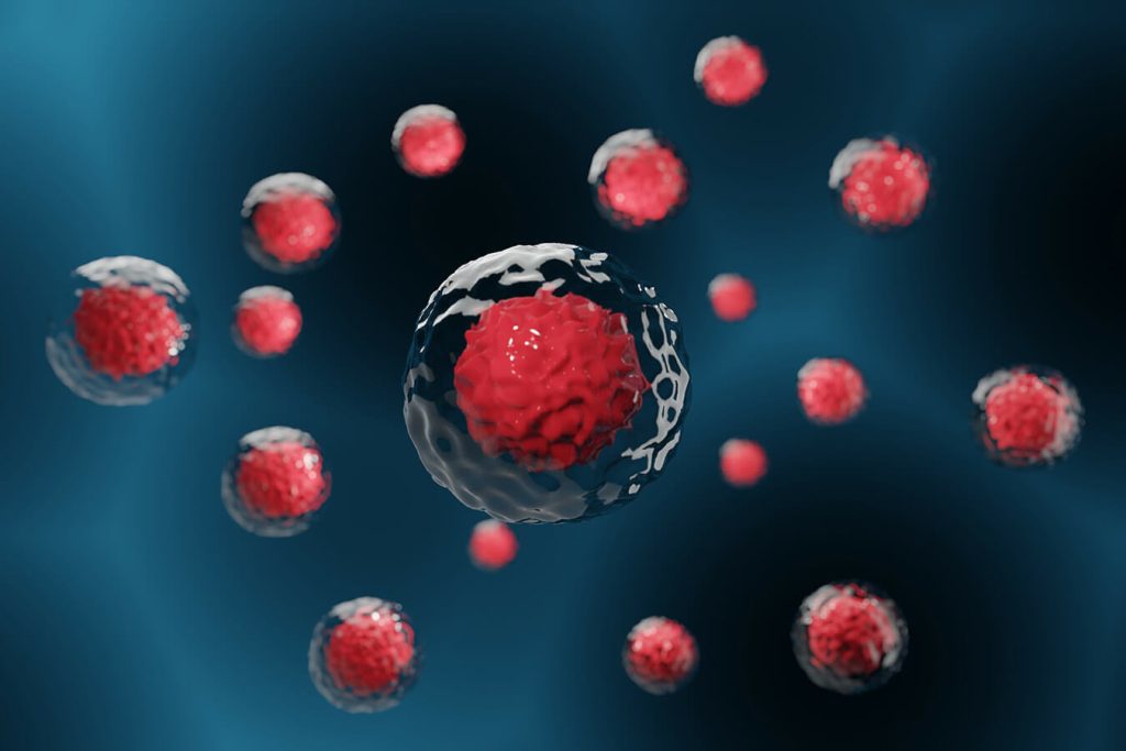 Cosmetici: Cellule staminali sì o cellule staminali no?