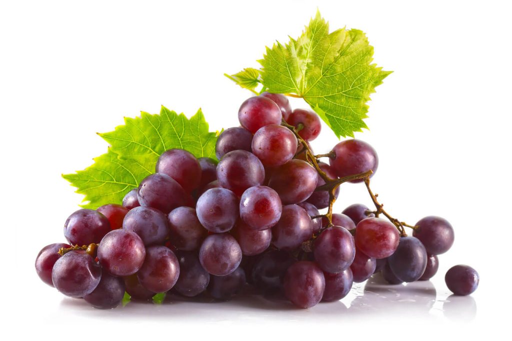Vitis Vinifera: una pianta con mille proprietà