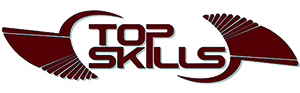 Logo Top Skills