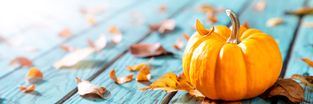 Proprietà della zucca