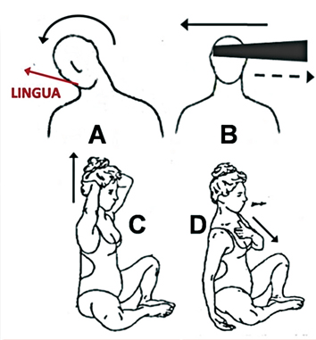 La rieducazione segmentaria disegno 1