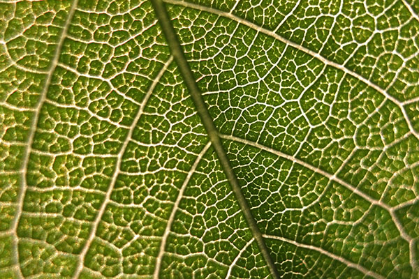 caf7567e-194f-44f9-b749-ddf4f23e2814.jpg