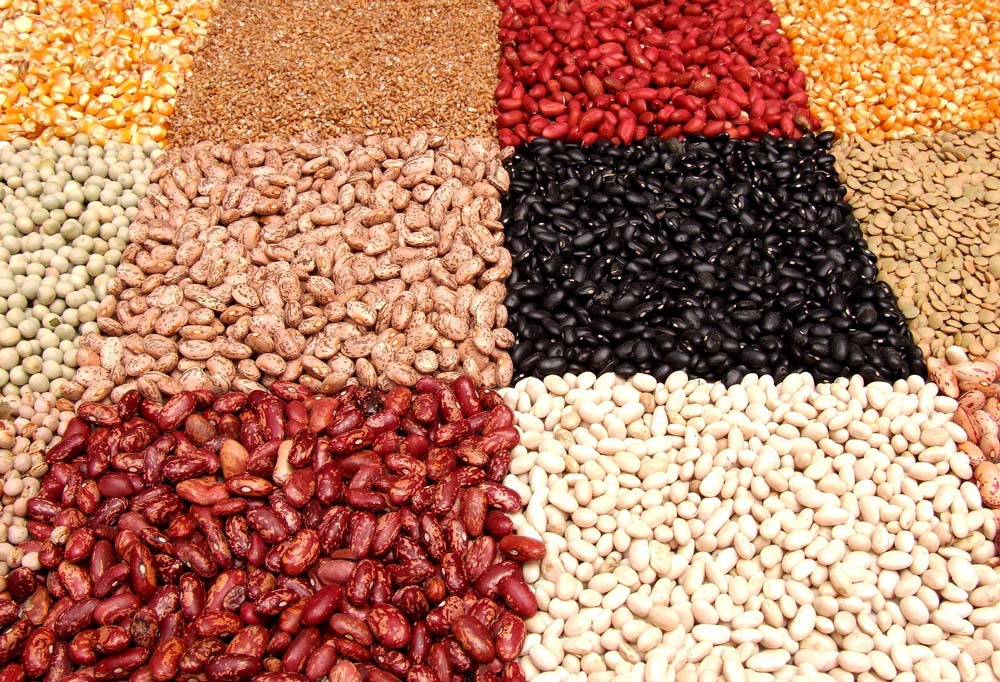 Diverse tipologie di fagioli