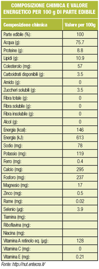 fitness-la-palestra-proprieta-valori-nutrizionali-della-ricotta-proteine-4