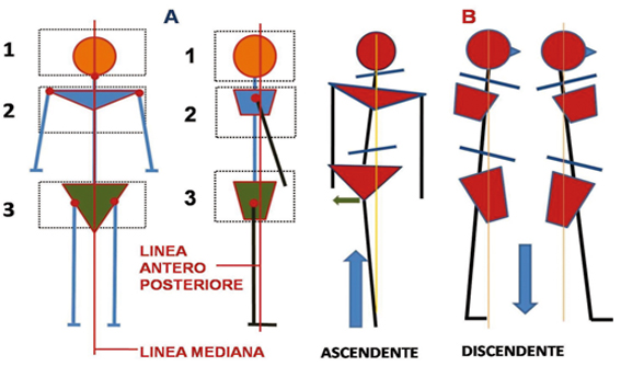 rieducazione segmentaria