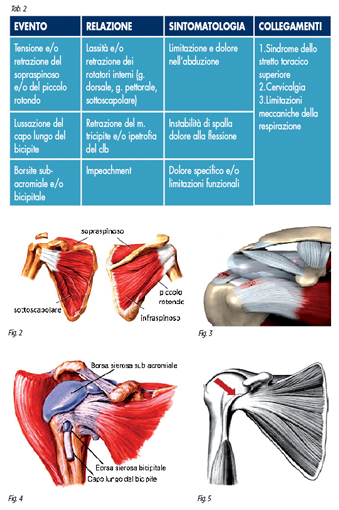 rieducazione spalla2