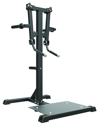 Impulse IFP1103 STANDING LATERAL RAISE