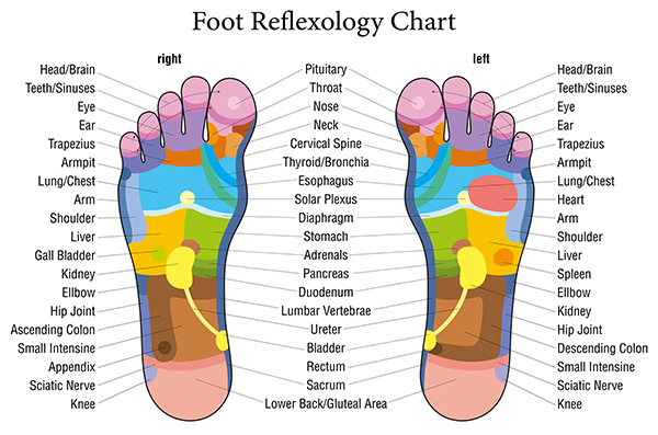 Quanto costa una seduta di riflessologia plantare