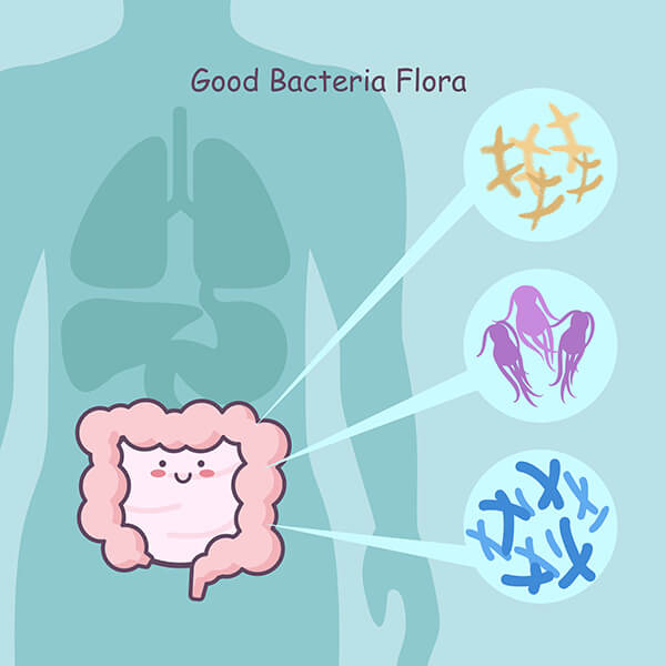 Fermenti lattici per la candida: un alleato naturale per contrastare l'infezione