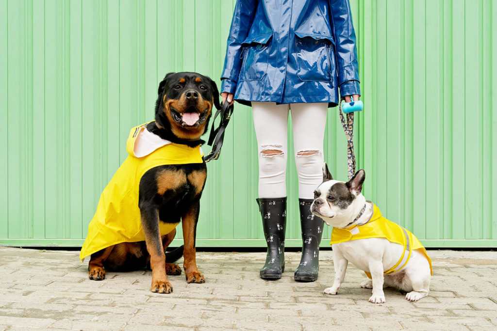 A passeggio con il cane: benefici