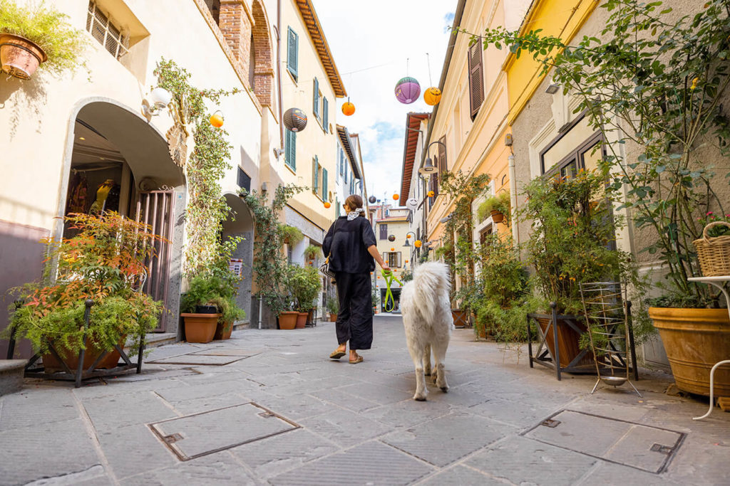 Come passeggiare con il cane in modo sicuro e responsabile