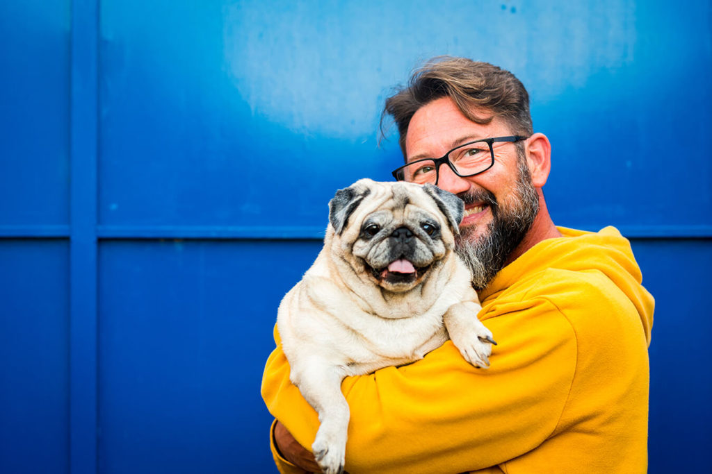 Gli animali domestici come fonte di benessere