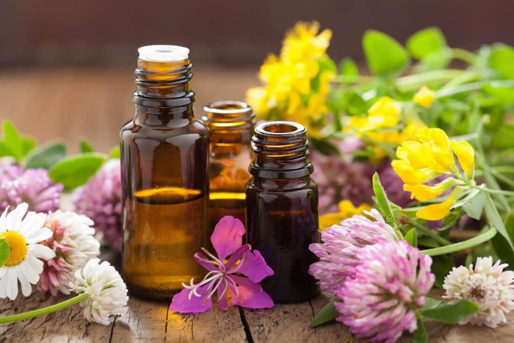 I fiori di Bach cosa sono e i loro benefici
