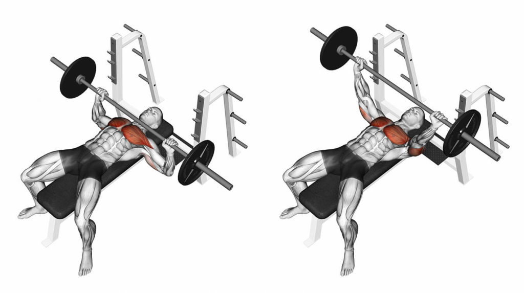 Come integrare il bench press nella tua routine di allenamento