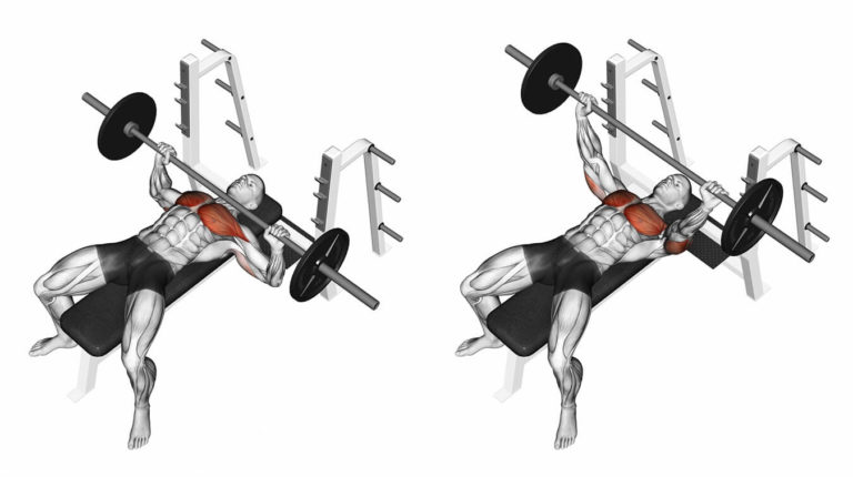 Bench Press: come eseguirlo correttamente - La Palestra