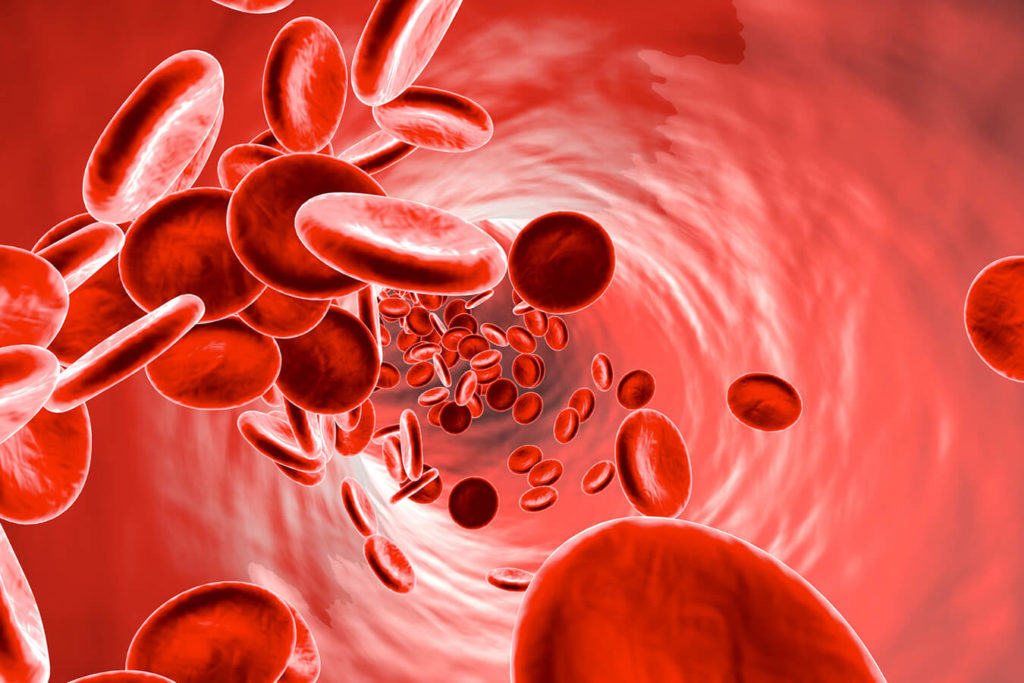 Anemia: che cos'è, i sintomi e come prevenirla