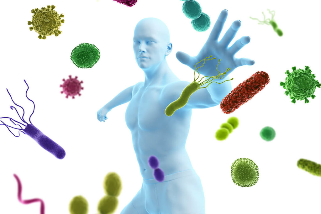 Linfociti: cosa sono e qual'è il loro ruolo nel sistema immunitario