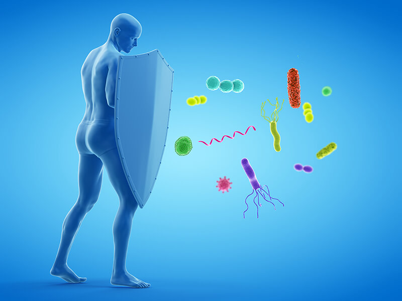 Linfociti alti: sintomi e possibili patologie associate