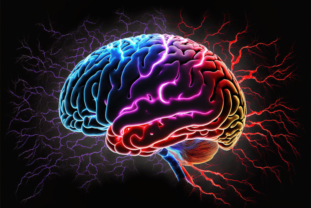 Il cervello è un animale abitudinario
