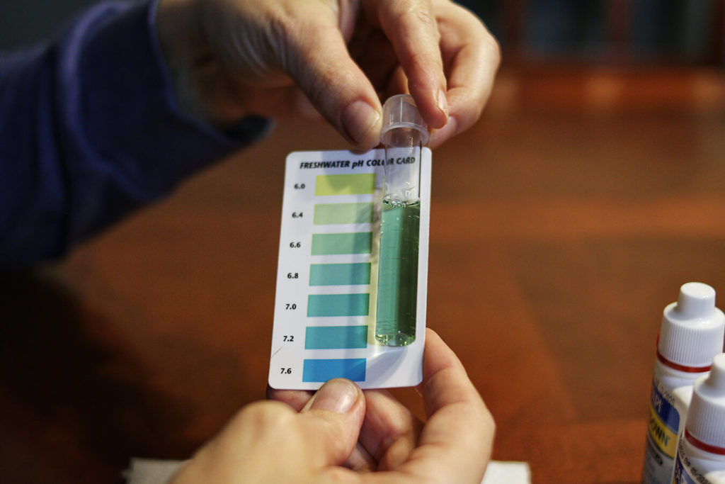 Come mantenere un livello di pH equilibrato nel tuo corpo