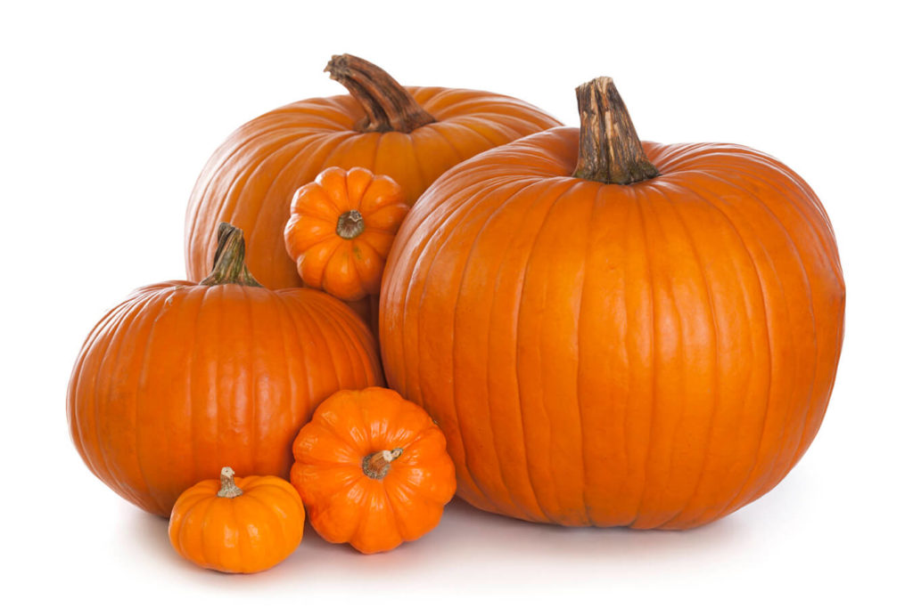 Zucca: proprietà e benefici