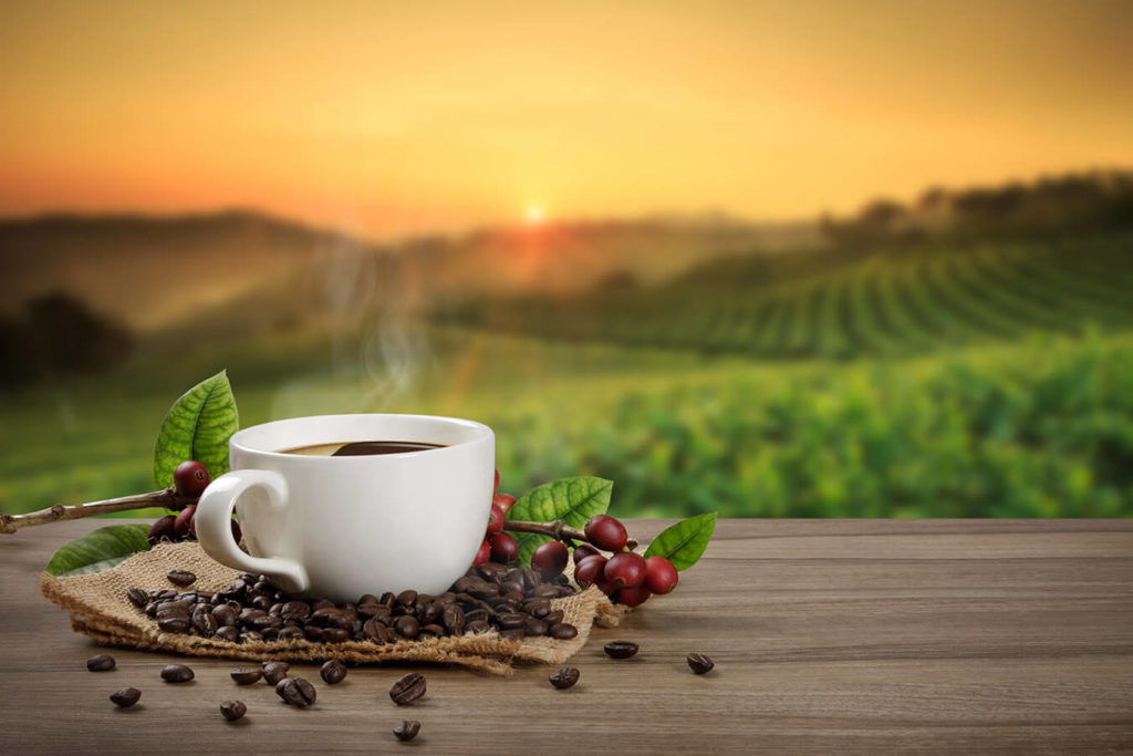 Quante tazze di caffè al giorno sono benefiche?