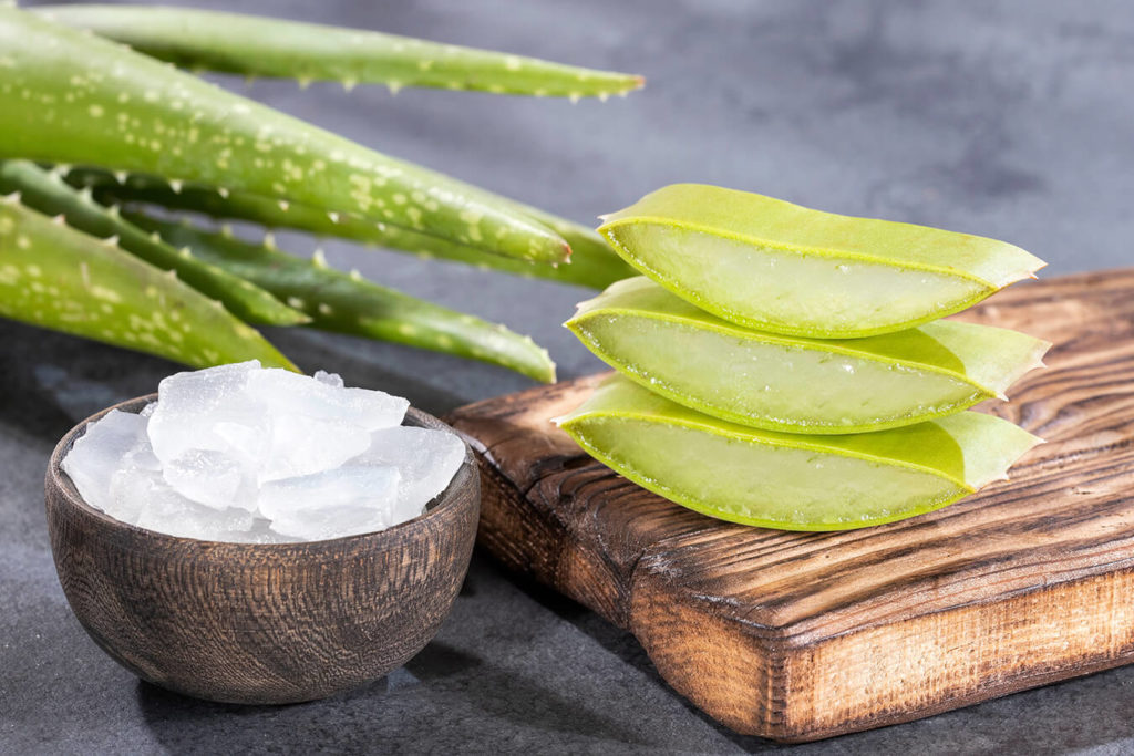 Aloe Vera: Un Rimedio Naturale dalle Mille Virtù