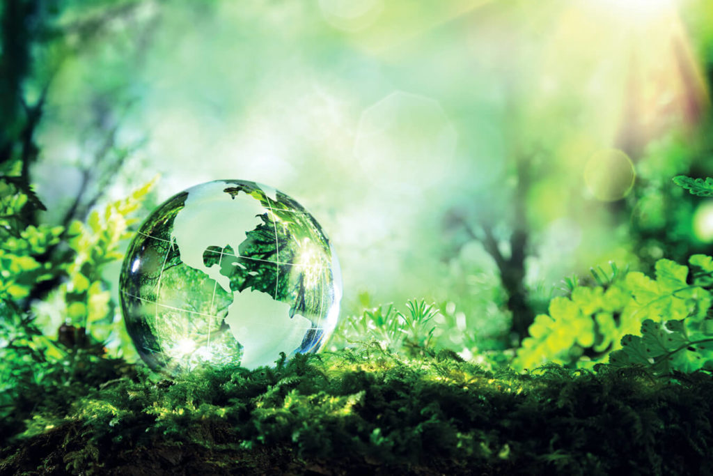 Promozione di uno stile di vita sano e sostenibile