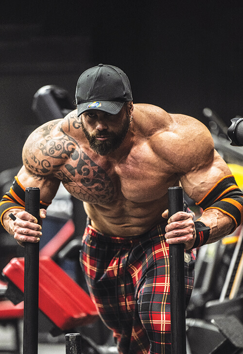 Quali sono gli alimenti fondamentali per la tua dieta da body builder?