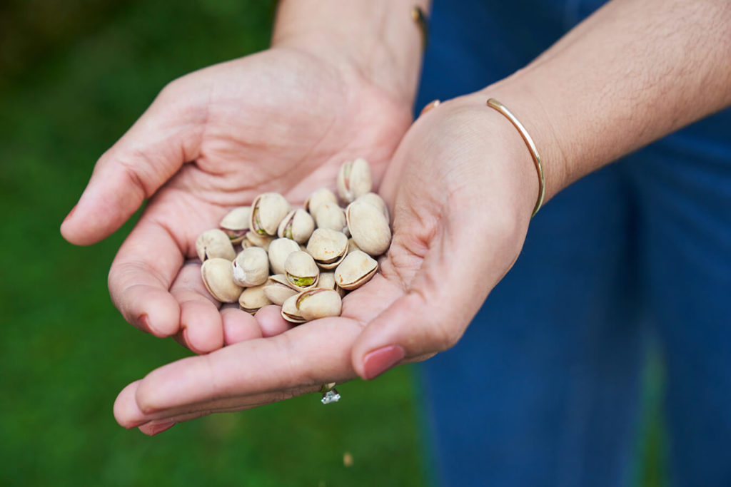 Quando Evitare il Pistacchio