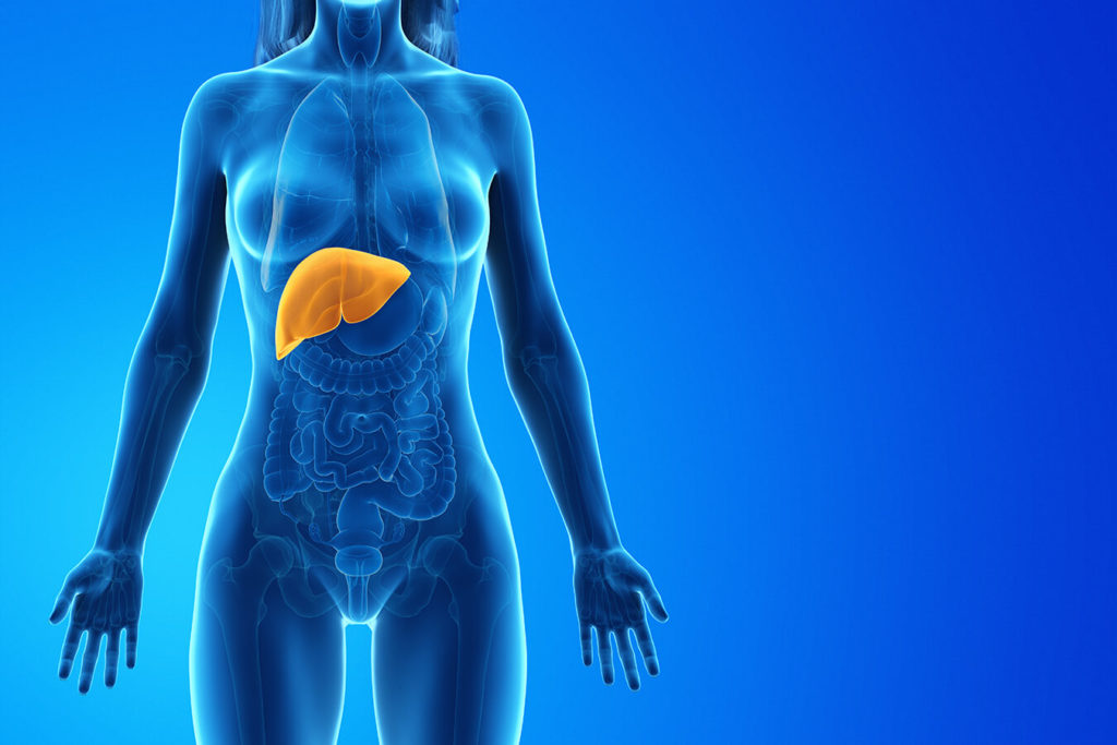 Glicogeno: cosa è, a cosa serve e come gestirlo nella dieta