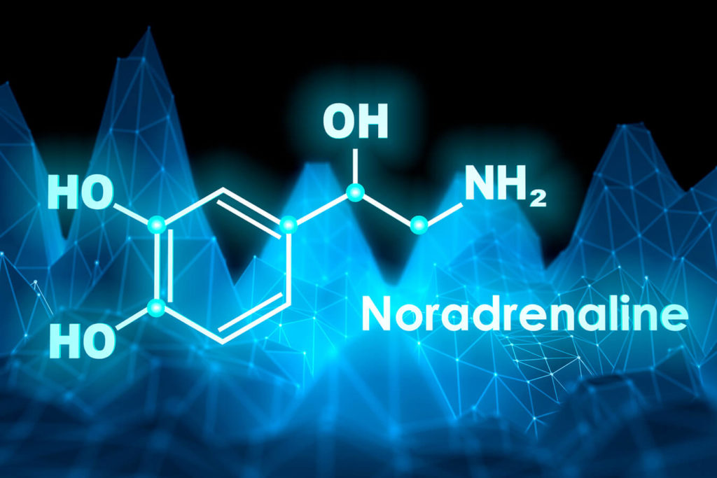 Noradrenalina: Funzioni, Differenze con l'Adrenalina
