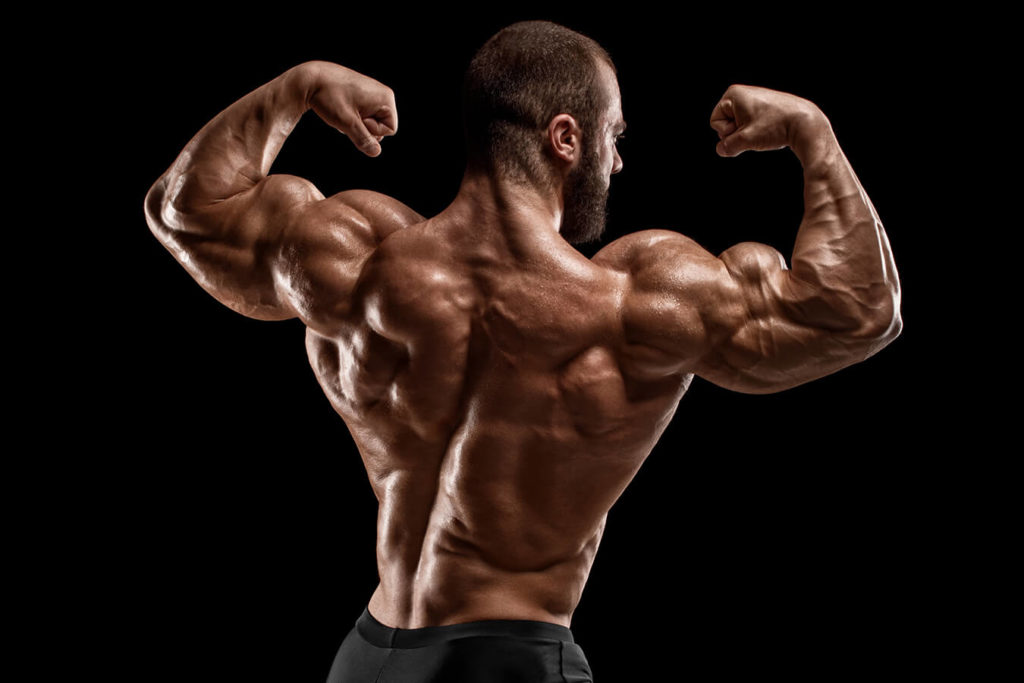 Bodybuilder: cosa fa e chi sono i più famosi