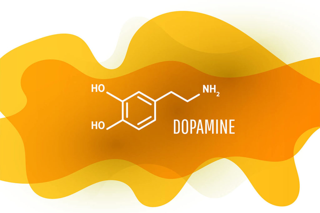 Catecolamine: un approfondimento sugli ormoni dello stress