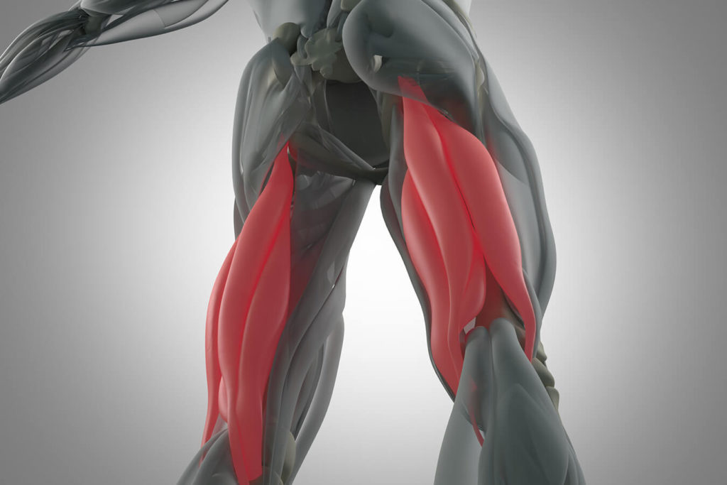Hamstring: tutto quello che devi sapere