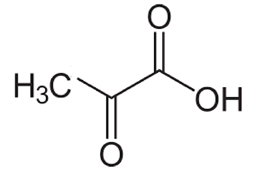 Il Piruvato: un composto chiave nel metabolismo cellulare