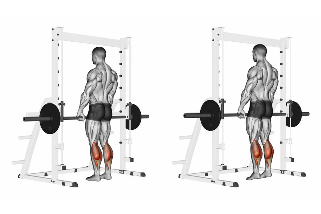 Che muscoli si usano stando in piedi