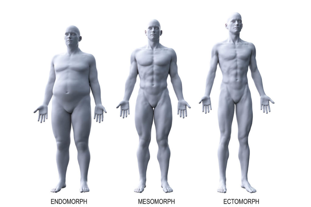 Endomorfo: come riconoscere il tuo tipo di fisico
