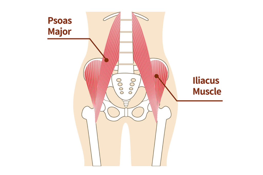 Ileopsoas: cos'è e come prendersene cura