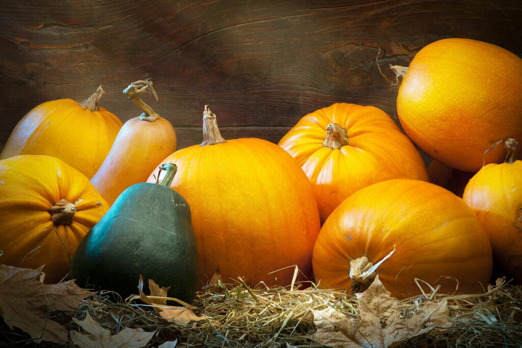 Ottobre Verdure di Stagione: cosa portare in tavola questo mese
