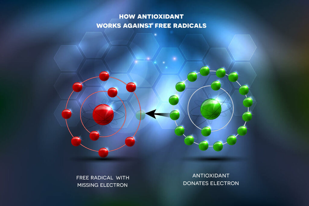 Radicali liberi e sport: consigli utili