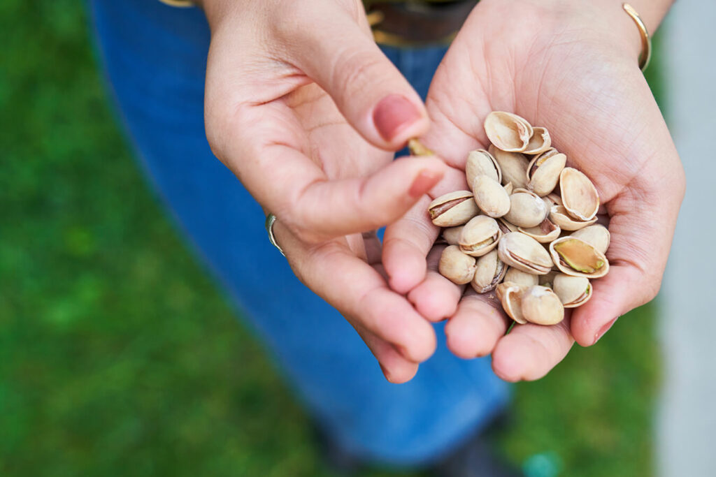 Il pistacchio fa male? Scopri i benefici e le controindicazioni