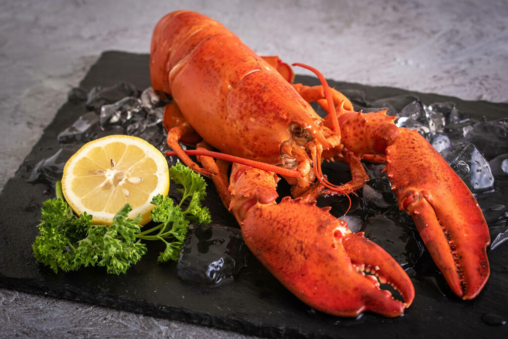 Astice: caratteristiche, benefici e ricette